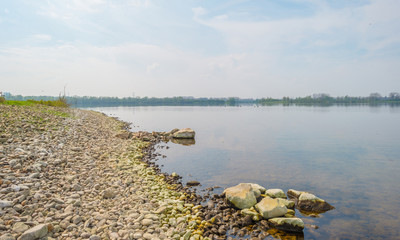 Shore of a lake in spring