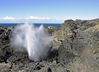 Kiama blowhole a natural landmark in Kiama NSW, Australia 