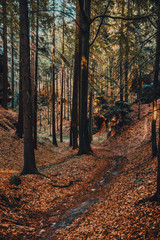 Fototapety na wymiar - Fototapeta24.pl
