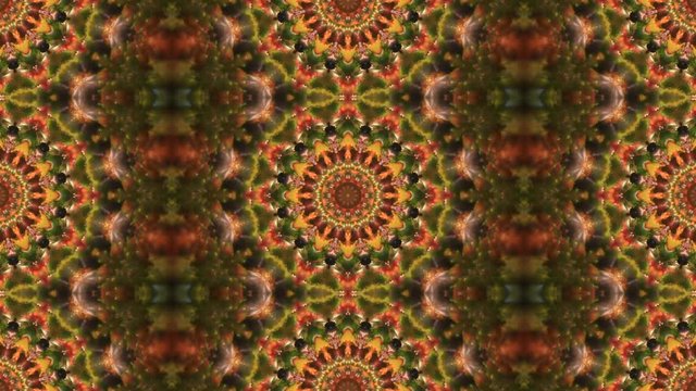 Amazingbstract kaleidoscopic multicolor pattern with row ultra complex structure. Excellent animated seamless background in stunning full HD. Adorable waving visuals for wonderful decorative intro