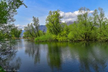 Fototapeta na wymiar Lago immerso nella natura con alberi verdi