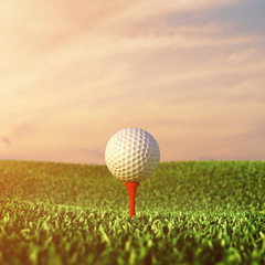 Golf ball on grass , Golf tournament , Golf course at dawn