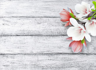 Fototapeta premium Magnolia flowers on background of shabby wooden planks