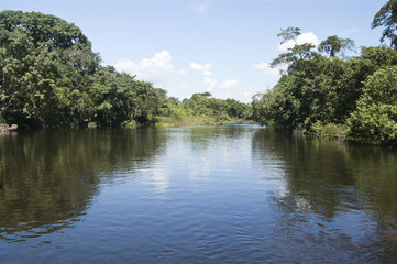 Fototapeta premium rio