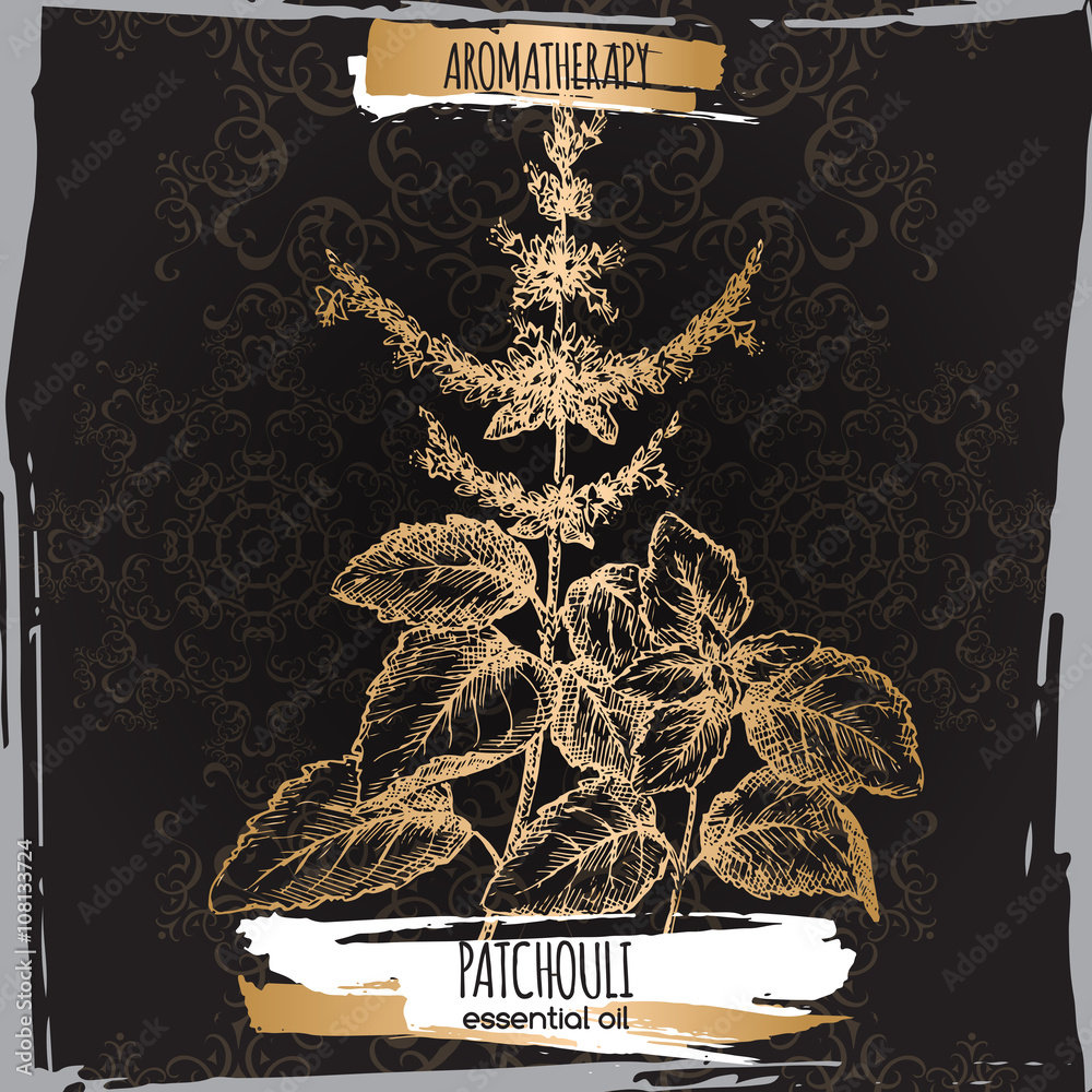 Wall mural patchouli sketch on elegant black and golden lace background.