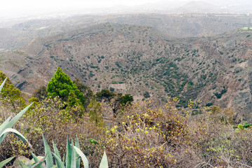 Caldera de Bandama