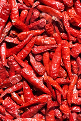 Red hot chili peppers drying on the sun