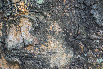 old wood background