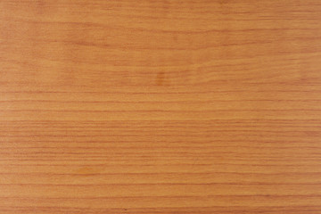 Fototapeta premium wood texture