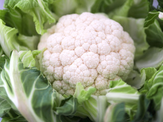Blumenkohl
