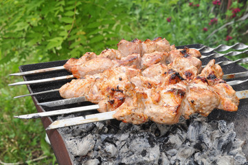 Skewers of pork on the coals 