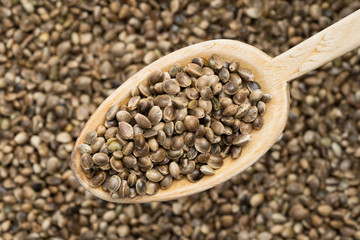 Wooden spoon with hemp seeds seen from above over a hemp seed background
