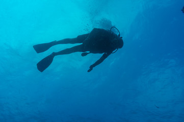 Fototapeta na wymiar People recreation with scuba diving swimming