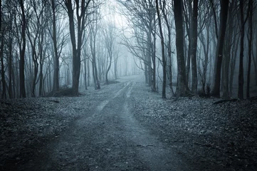 Foto op Plexiglas donkere bosweg & 39 s nachts © andreiuc88