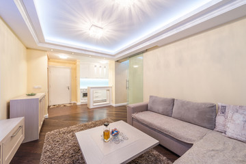 Modern living room with white sofa