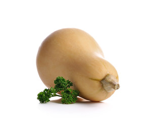 pumpkins close up isolated on white.