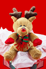 cute teddy bear on gift box.