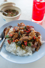 Fried neck pork with basil and rice ,Selective focus point