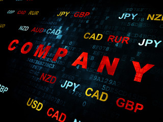 Fototapeta premium Business concept: Company on Digital background
