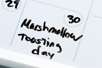 Marshmallow toasting day