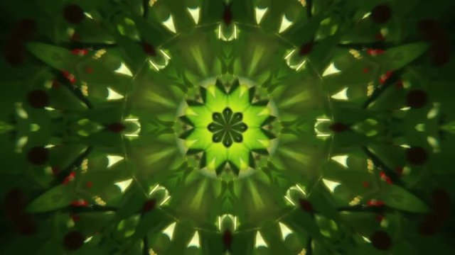 Amazing abstract kaleidoscopic colored pattern with eight star structure. Excellent animated floral background in full HD. Adorable waving visuals for wonderful decorative intro. 

