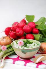Kräuterquark mit Radieschen Schnittlauch und Lauchzwiebeln