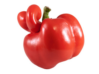 Red sweet pepper isolated on a white background