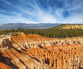 hoodoos and fir forest in the Bryce Canyon