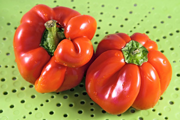 Two red sweet pepper on a green background