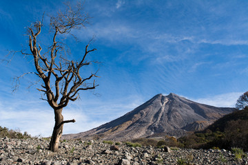 volcano © alfredo914