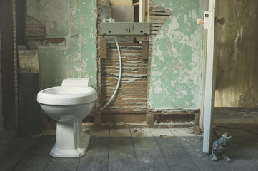 New toilet in derelict bathroom