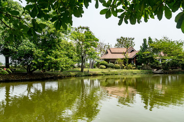 Fototapeta na wymiar Garden with lake