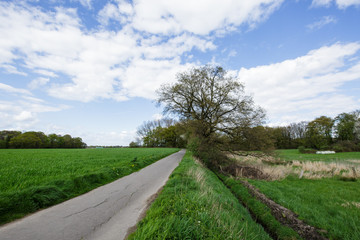 Fototapeta na wymiar Nature Reserve at village Boesinghoven