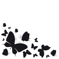 Naklejka premium butterflies design