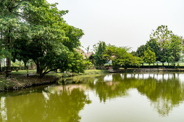 Garden with lake