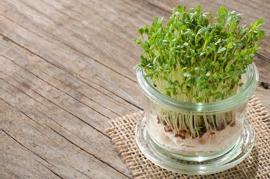 Gartenkresse im Glas auf Holz mit Textfreiraum