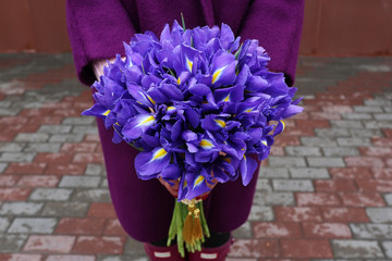 Bouquet of violet irises in the girl's hands