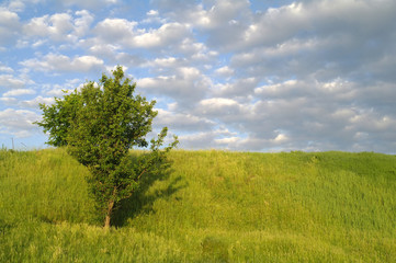 Obraz premium Idyllic spring landscape in the mountains