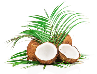 Coconuts on white background