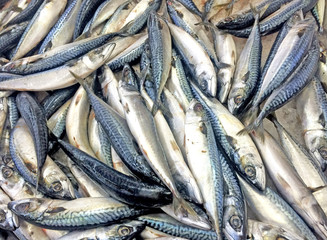Saba fish in supermarket.