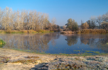 River landscape and autumn wood