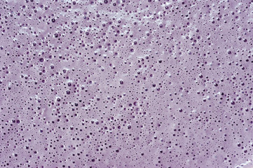 Abstract purple texture, Purple bubble abstract background