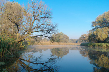 Fototapeta na wymiar autumn landscape with yellow tree on coast of the river