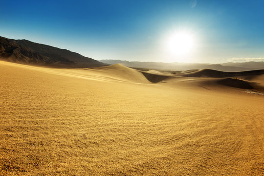landscape of sand dunes in a sunny sky