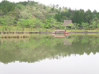 Obraz premium 日本の農村