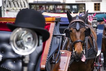 Horse carriage in Vienna, Austria with bowler on the light