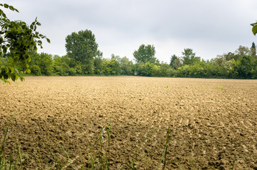 Ploughed Field