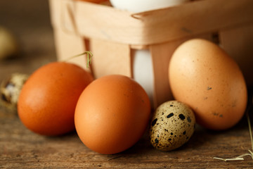 Fresh chicken and quail eggs on a wooden background