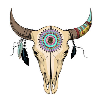 vector illustration bull skull. Ethnic style
