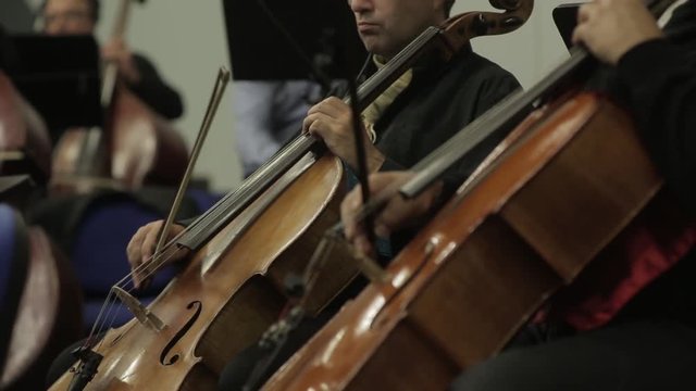 Professional male cellist playing his cello, classical music solo performance